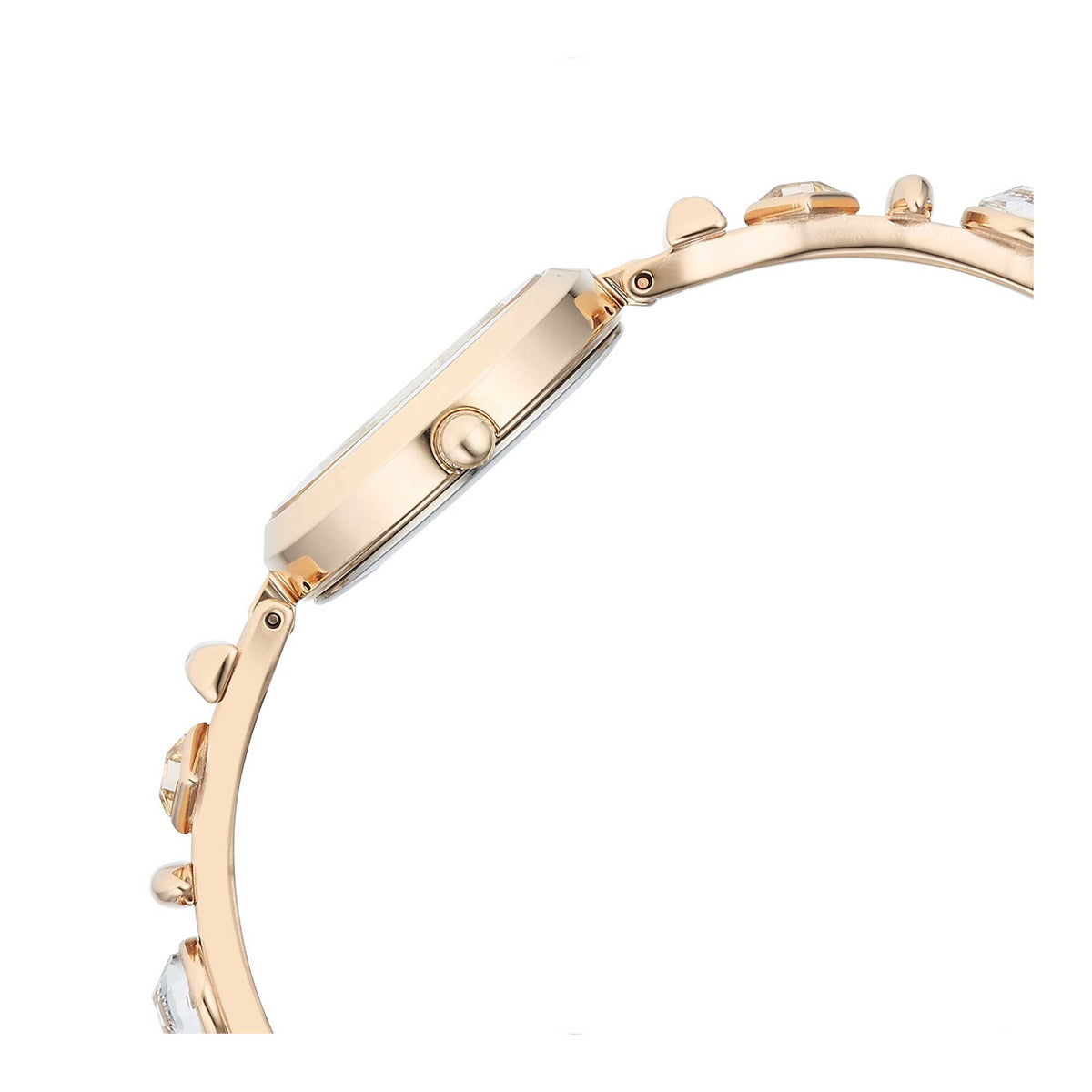Titan Raga Vita — Champagne Metal